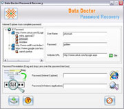 Internet Explorer Password Recovery и пароли размаскировать инструмент Скриншот