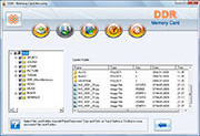 Software Screenshot Da Recuperação Dos Dados Do Cartão De Memória