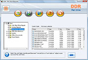 Software Screenshot Di Recupero Di Dati Dell'Azionamento Della Penna