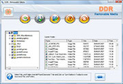 Software Desprendible Screenshot De la Recuperación De los Datos De los Medios